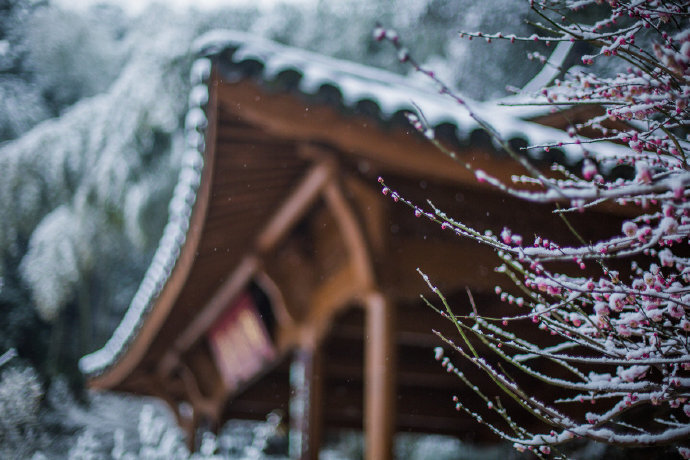 一声玉笛海天空，十二楼台面面通。人影与梅同隐约，月光兼雪更玲珑。—— 《声影》孙原湘#下雪# #北京下雪#