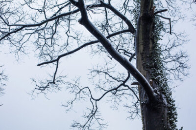 一声玉笛海天空，十二楼台面面通。人影与梅同隐约，月光兼雪更玲珑。—— 《声影》孙原湘#下雪# #北京下雪#