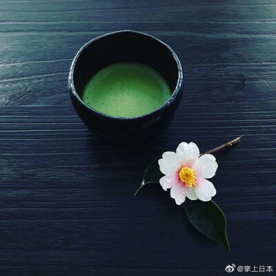 下午茶时间，想来一杯日式抹茶吗~ins：midori.muko ​