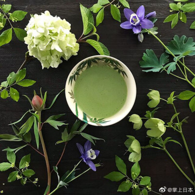 下午茶时间，想来一杯日式抹茶吗~ins：midori.muko ​