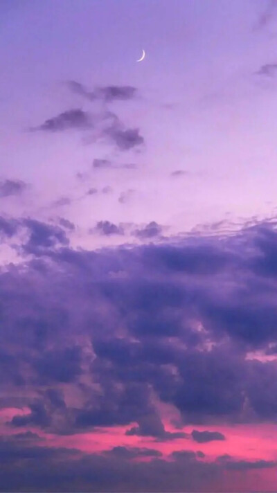 紫色背景
