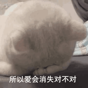 群里存的