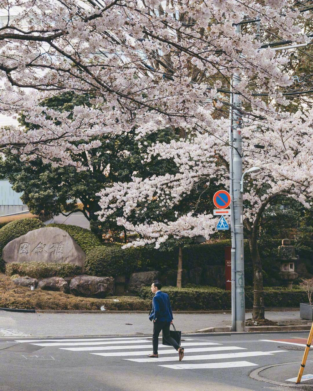 樱花季
源微博:摄影日课