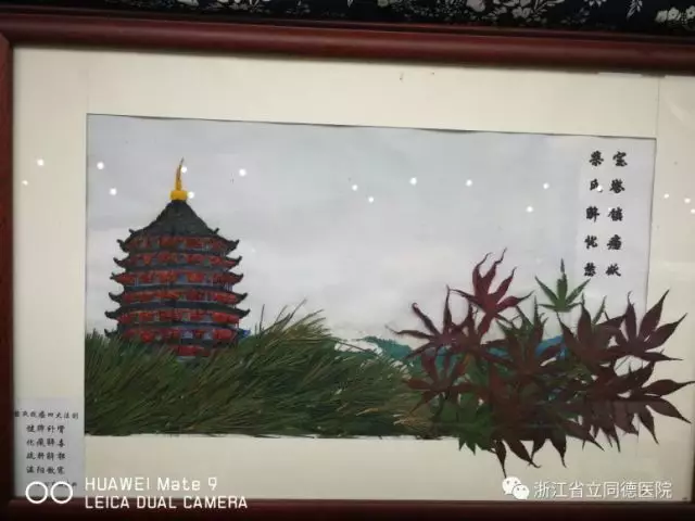 中草药粘贴画