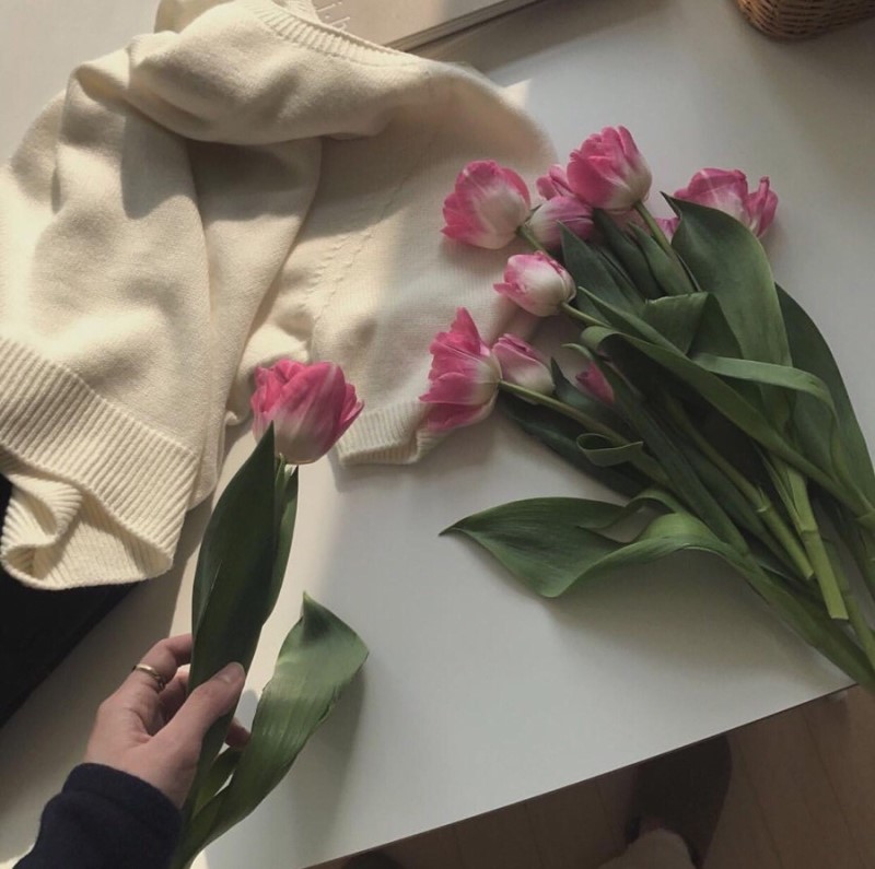 ˗ˏˋ♥︎︎ˎˊ˗