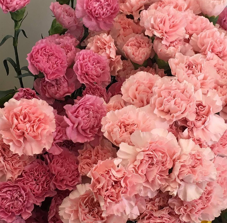 ˗ˏˋ♥︎︎ˎˊ˗