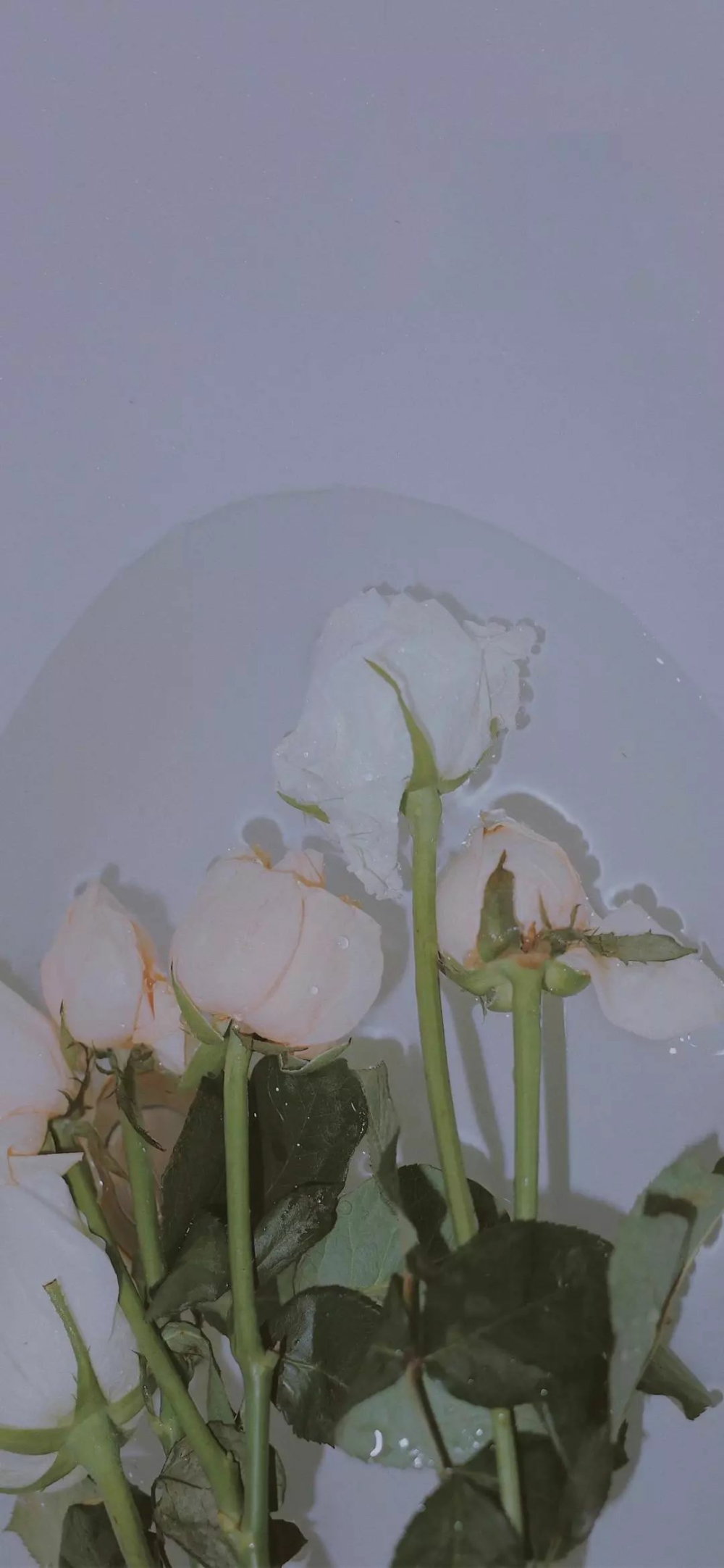 蓝色壁纸
