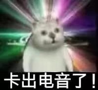 憨憨猫