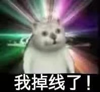 憨憨猫