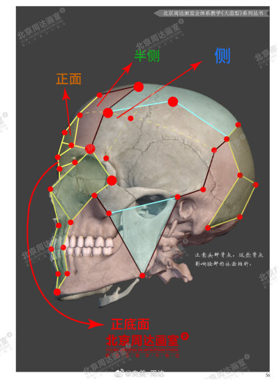 素描头像理论