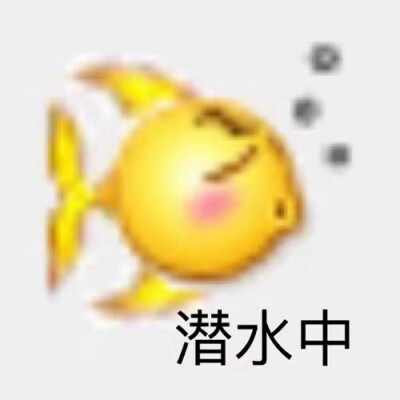 emoji太可了
表情包
