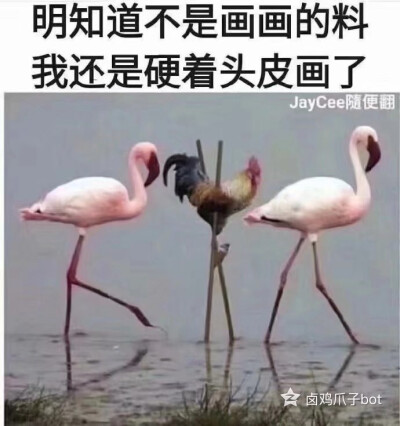 画画表情包