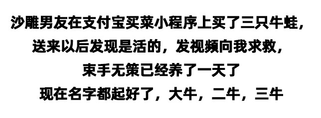 #在家被迫成才的我#谁家男友这么有才，疫情结束就是个养殖大户了，哈哈哈哈哈