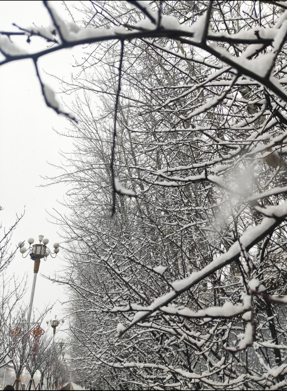 雪景