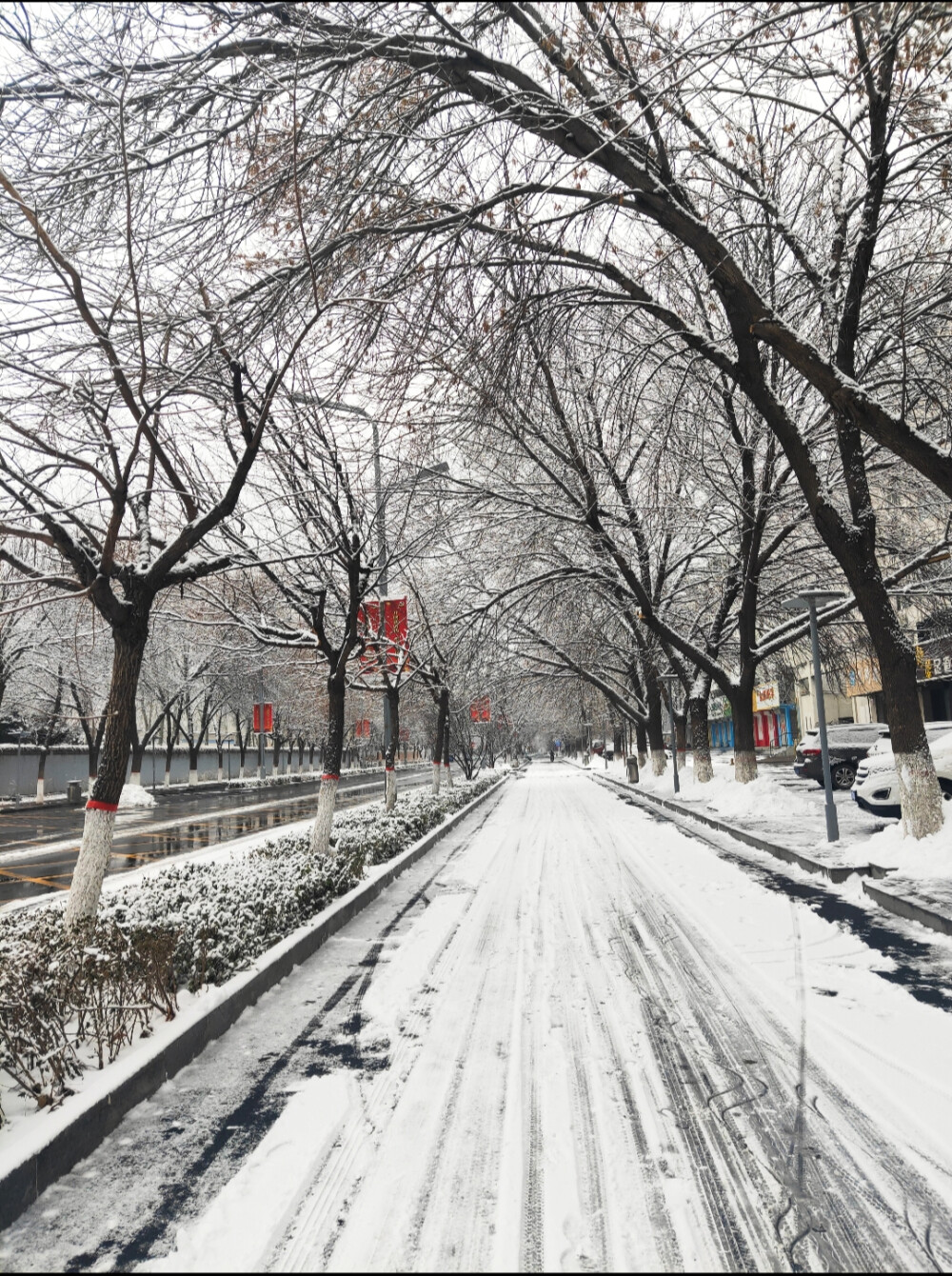 雪景