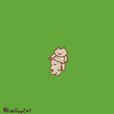 猫猫gif 原作者Twitter：everyday one cat