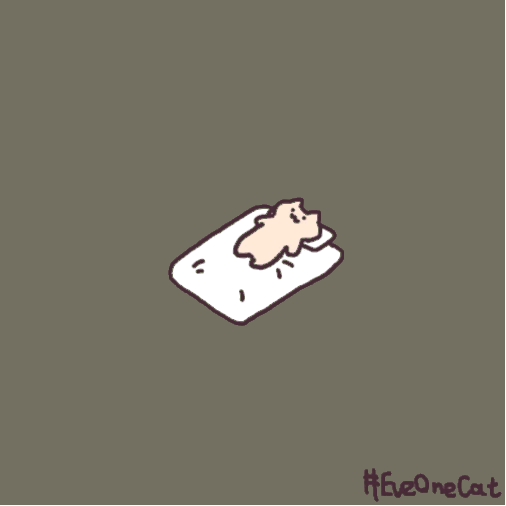 猫猫gif 原作者Twitter：everyday one cat