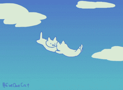 猫猫gif 原作者Twitter：everyday one cat