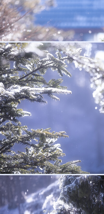 ❄️ 好想变成雪啊
这样我就可以落在你的肩上.
镜 @机智的宝宝薰
衣 @簪花阁汉服工作室
摄影@大如如酱
#汉服写真##写真##美图##苏州约拍##杭州约拍##南京约拍##上海约拍##镇江约…