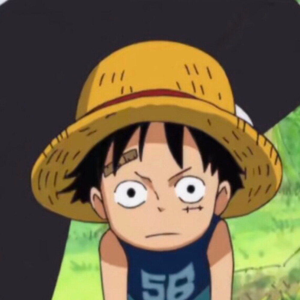 海贼王 小路飞 自截