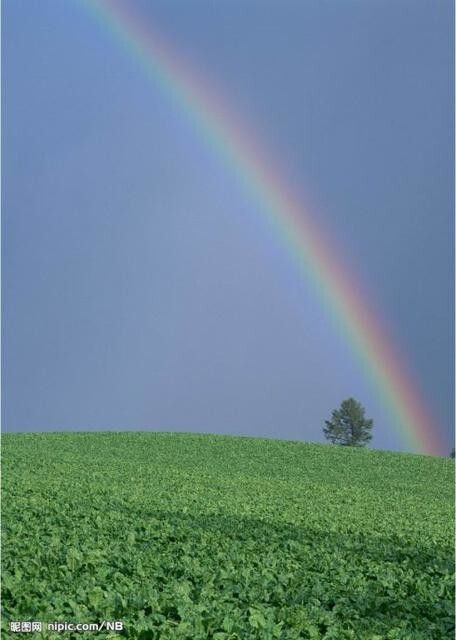 发一份光，它是七色的。好运❤