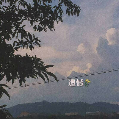 推荐超火ins背景图