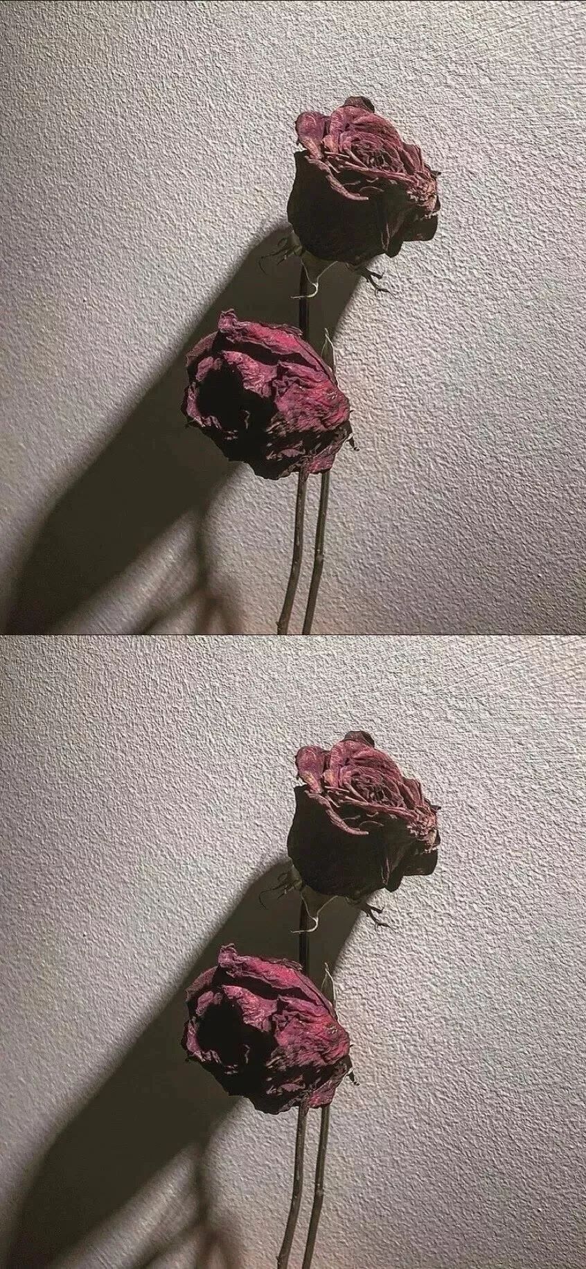 拼接壁纸♡拼接背景