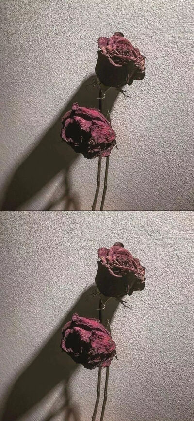 拼接壁纸♡拼接背景