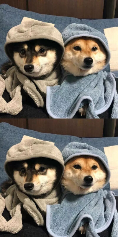 拼接壁纸♡拼接背景