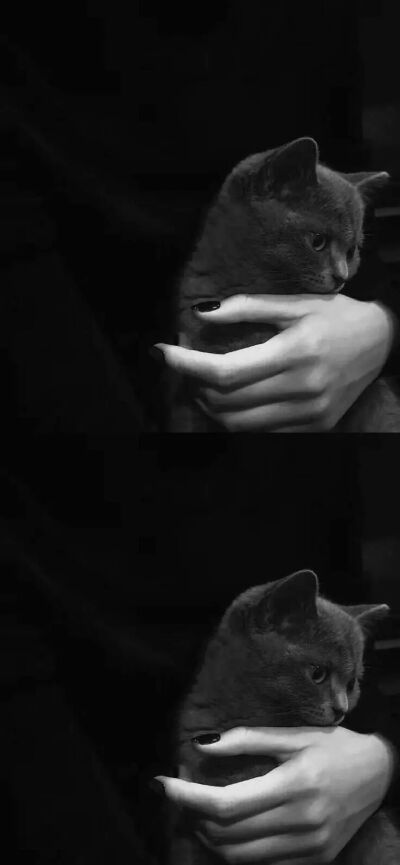 拼接壁纸♡背景