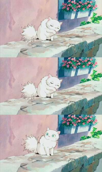 拼接壁纸♡背景