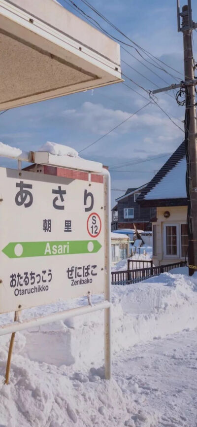 山の風に餌をやる猫畑