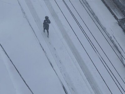 自截图。 雪❄️