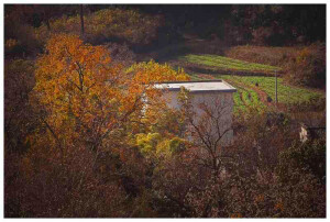 Poco摄影  风景旧曾谙