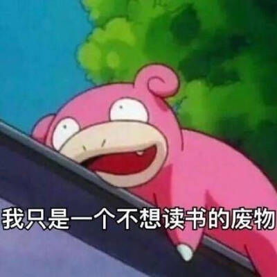 呆呆兽，表情包