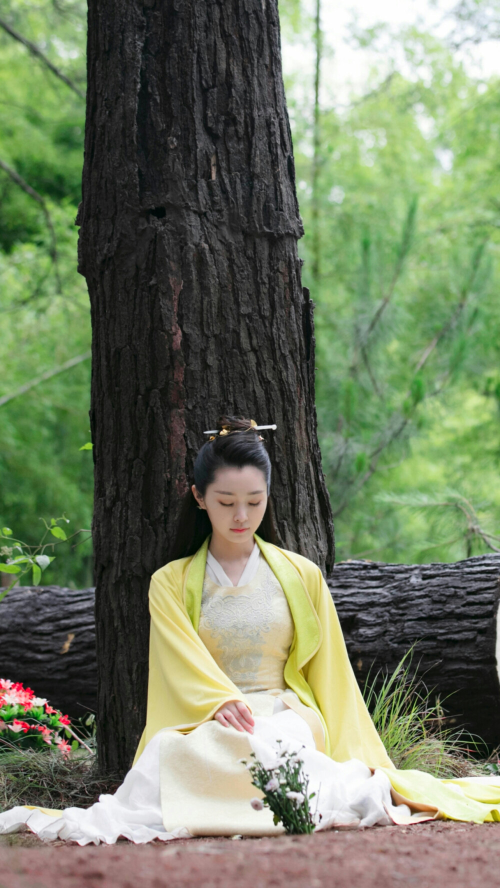 庆余年范若若宋轶