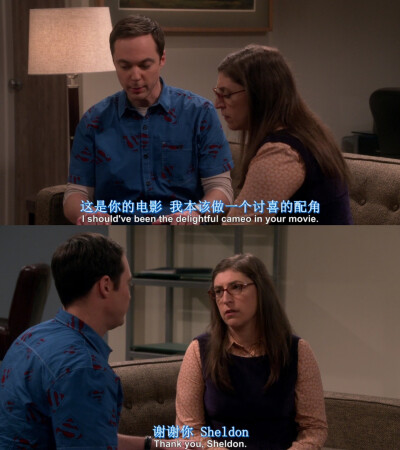 生活大爆炸
The Big Bang Theory