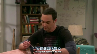 生活大爆炸
The Big Bang Theory