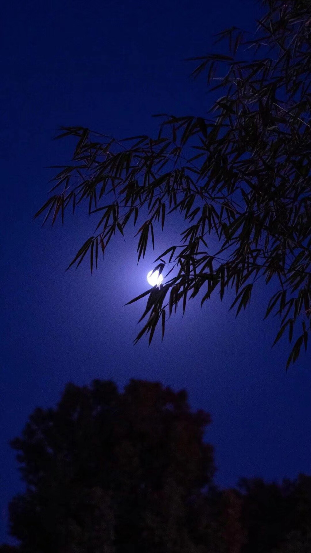 
夜晚 蓝紫色星空 壁纸