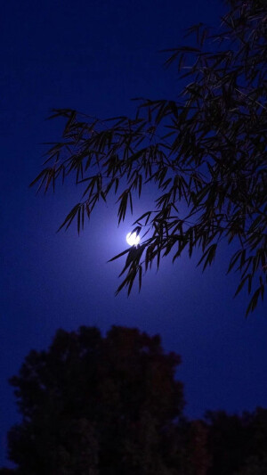 
夜晚 蓝紫色星空 壁纸