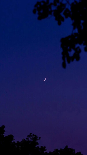 
夜晚 蓝紫色星空 壁纸