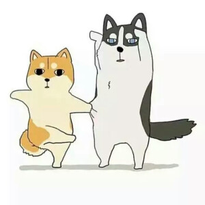 柒哥柒哥~~最爱柒七~~