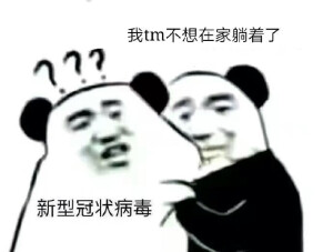 沙雕表情包