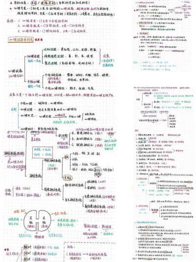 ♦2⃣0⃣2⃣0⃣教师考编学霸手写笔试资料
❗❗教育学，心理学，教育心理学，公基手写笔记
♦重点整理、无需买书，只看笔记即可
❗❗考点总结大全，零基础备考也拿满分✨
♦早日备考教师招聘，早日上岸㊗