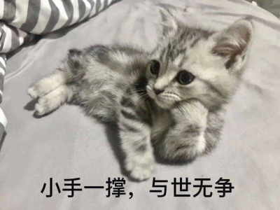 表情包