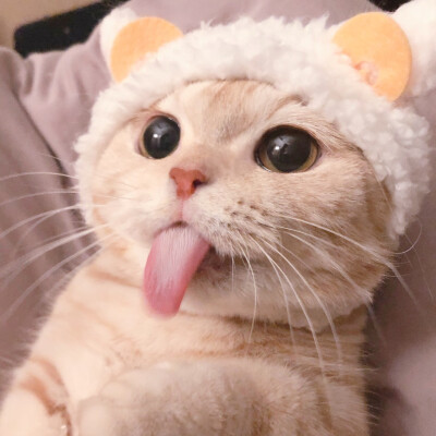 二传注明麓一涵