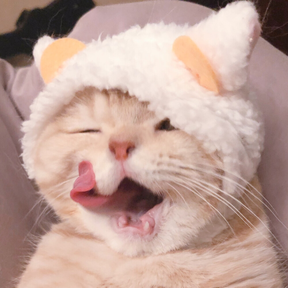 二传注明麓一涵