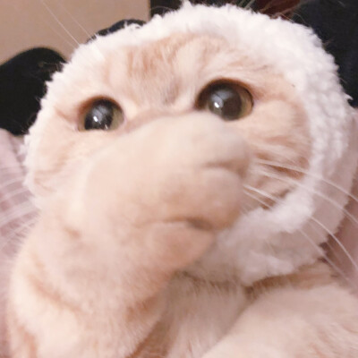 二传注明麓一涵