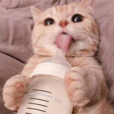 二传注明麓一涵