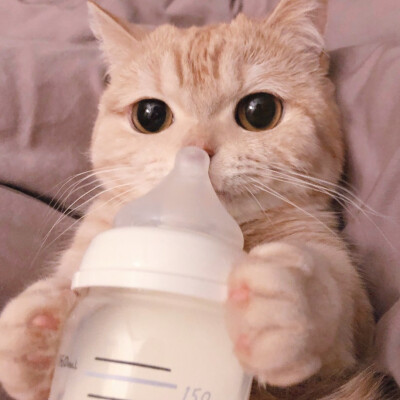 二传注明麓一涵